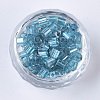 6/0 Glass Seed Beads SEED-S027-05B-13-2