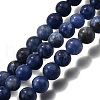 Natural Sodalite Round Bead Strands X-G-P072-27-6mm-2
