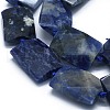 Natural Sodalite Beads Strands G-F655-06-3