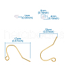 Iron Earring Hooks IFIN-TA0001-21-9