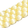 Dyed Natural Selenite Beads Strands G-T138-233J-1