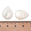 Natural Freshwater Shell Cabochons SHEL-D082-01A-3
