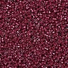 MIYUKI Delica Beads SEED-X0054-DB0654-3