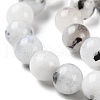 Natural Rainbow Moonstone Beads Strands G-Q1001-A05-03-3