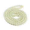 Natural Nephrite Jade Beads Strands G-NH0005-030B-3