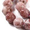 Natural Plum Blossom Jasper Beads Strands G-NH0021-A20-02-4