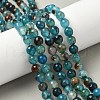 Dyed Natural Agate Faceted Round Beads Strands G-E320E-8mm-15-5