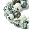 Natural Tree Agate Round Gemstone Beads Strands G-R255-10mm-4