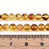 Natural Amber Beads Strands G-K387-D02-03-4