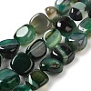 Natural Agate Beads Strands G-H295-D01-03-2
