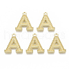 Alloy Pendants PALLOY-N157-002A-NR-1