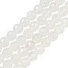 Natural Quartz Crystal Beads Strands G-E571-A11-01-1