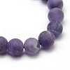 Frosted Natural Amethyst Round Bead Strands G-M064-4mm-13-2
