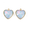 304 Stainless Steel Pendants STAS-L290-54C-G-1