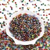 Transparent Colours Rainbow Glass Seed Beads SEED-N007-08-2