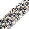 Natural Cultured Freshwater Pearl Beads Strands PEAR-L033-37G-1