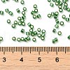 Glass Seed Beads SEED-S042-04B-26-4