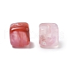 Transparent Acrylic Beads TACR-P013-A03-B-2