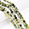 Natural Serpentine Beads Strands G-N346-06A-02-1