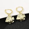 Brass Hoop Earrings EJEW-Q036-03A-G-5