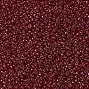 MIYUKI Round Rocailles Beads X-SEED-G008-RR2410-3