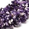 Natural Amethyst Nuggets Bead Strands G-P073-39-1