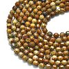 Natural Picture Jasper Beads Strands G-A260-A47-01-3