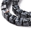 Natural Snowflake Obsidian Beads Strands G-F631-K16-3