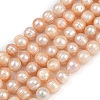 Natural Cultured Freshwater Pearl Beads Strands PEAR-I007-07Z-01B-2