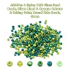 4500Pcs 6 Style 12/0 Glass Seed Beads SEED-YW0001-27D-3