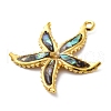 304 Stainless Steel Pave Natural Paua Shell/Abalone Shell Pendants STAS-S163-21G-2
