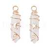 2Pcs 2 Styles Natural Quartz Crystal Double Terminated Pointed Pendants PALLOY-JF03122-05-1