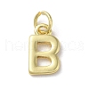 Rack Plating Brass Pendants KK-P245-06G-B-1