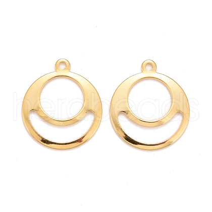 201 Stainless Steel Pendants STAS-K217-48G-1