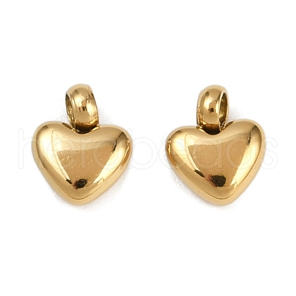 304 Stainless Steel Charms STAS-R170-01G-02-1