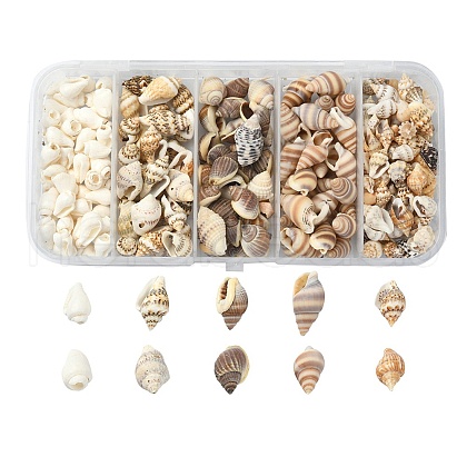 5 Styles Mixed Natural Shell Beads SSHEL-YW0001-03-1