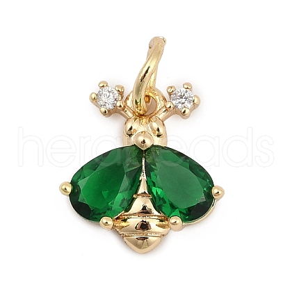 Brass Pave Cubic Zirconia Charms KK-Q096-14B-G-1