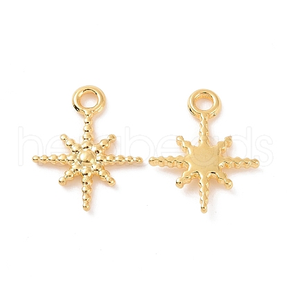 Ion Plating(IP) 304 Stainless Steel Charms X-STAS-F293-42G-1
