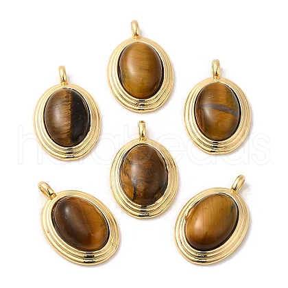 Natural Tiger Eye Pendants KK-M270-41G-01-1