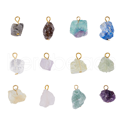 12Pcs 12 Styles Raw Rough Natural Gemstone Pendants PALLOY-AB00220-1