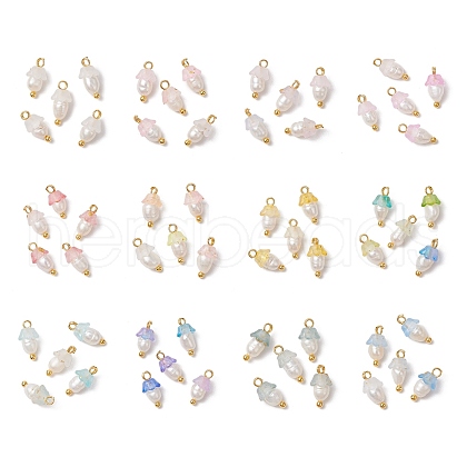 12Pcs Flower Acrylic Charms PALLOY-JF03588-1
