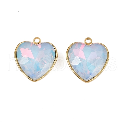 304 Stainless Steel Pendants STAS-L290-54C-G-1