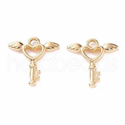 304 Stainless Steel Pendants STAS-B024-38G-1