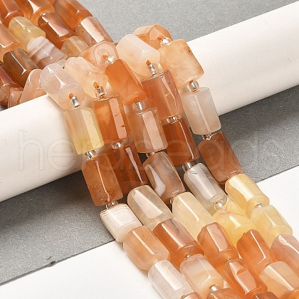 Natural Orange Botswana Agate Beads Strands G-N327-06-31-1
