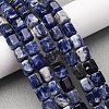 Natural Sodalite Beads Strands G-R015-A03-1