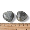 Natural Labradorite Pendants G-A259-02P-02-3