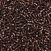 MIYUKI Delica Beads X-SEED-J020-DB0150-3