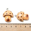 Resin Pendants RESI-Z031-01A-3