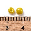 Glass Seed Beads SEED-XCP0001-22-3