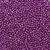 12/0 Glass Seed Beads SEED-A017-2mm-1116-2